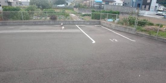クレイノサンライズ吉志(57314)の外観・駐車場イメージ3枚目