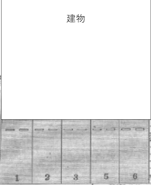 駐車場画像