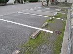 宮千代(19270)の外観・駐車場イメージ1枚目