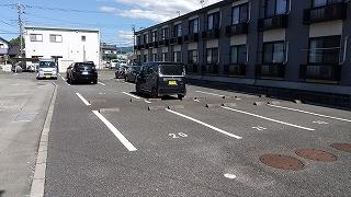 カモミール(36544)の外観・駐車場イメージ1枚目