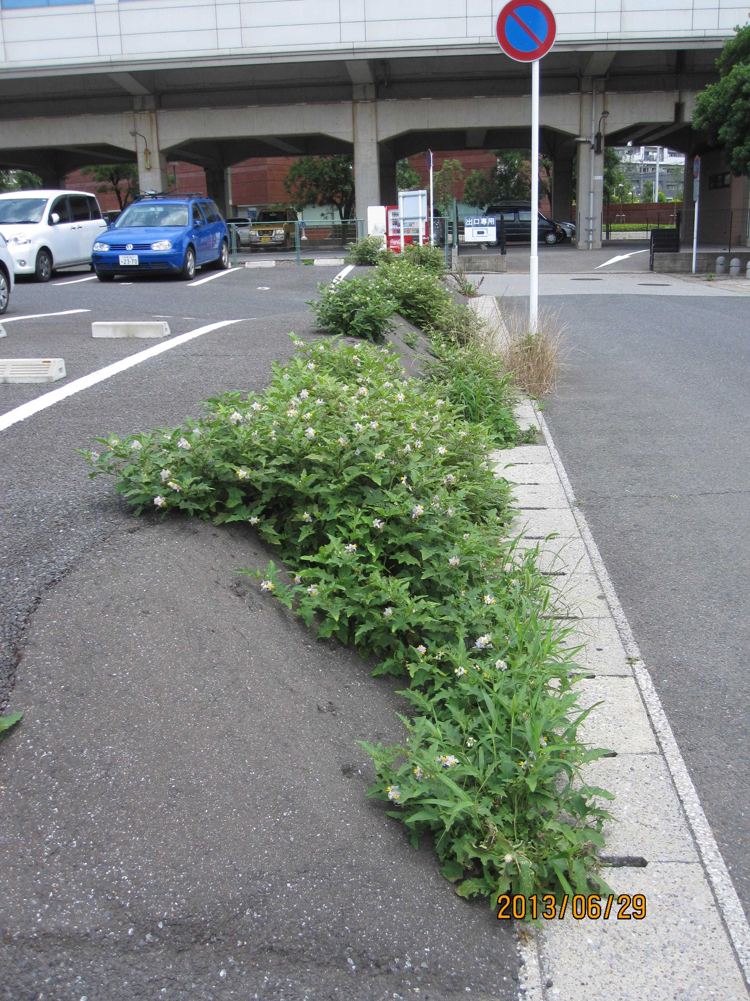 ゆりのき台第２の外観・駐車場イメージ3枚目