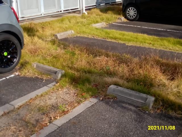 アベイユ(39388)の外観・駐車場イメージ1枚目