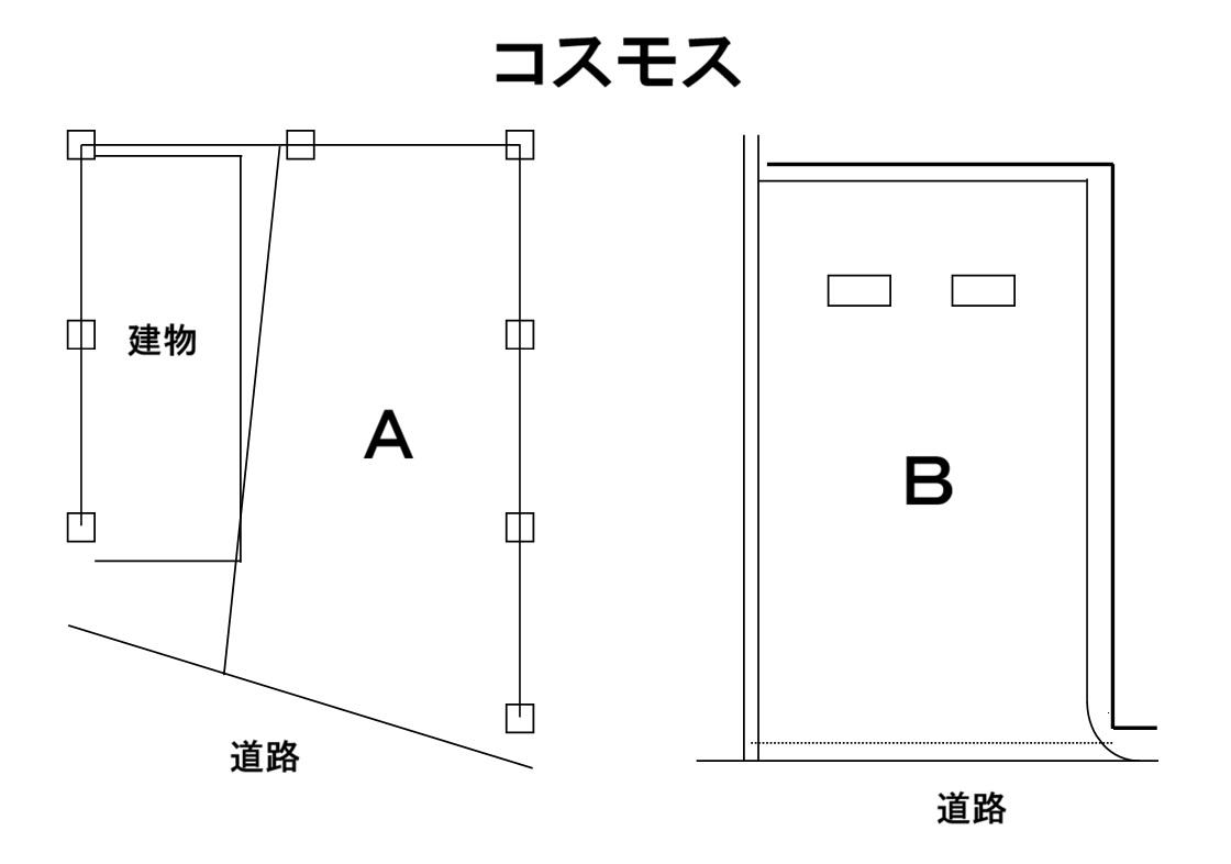 コスモスの駐車配置図
