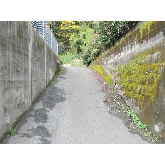 Mパーク平之町2の外観・駐車場イメージ2枚目