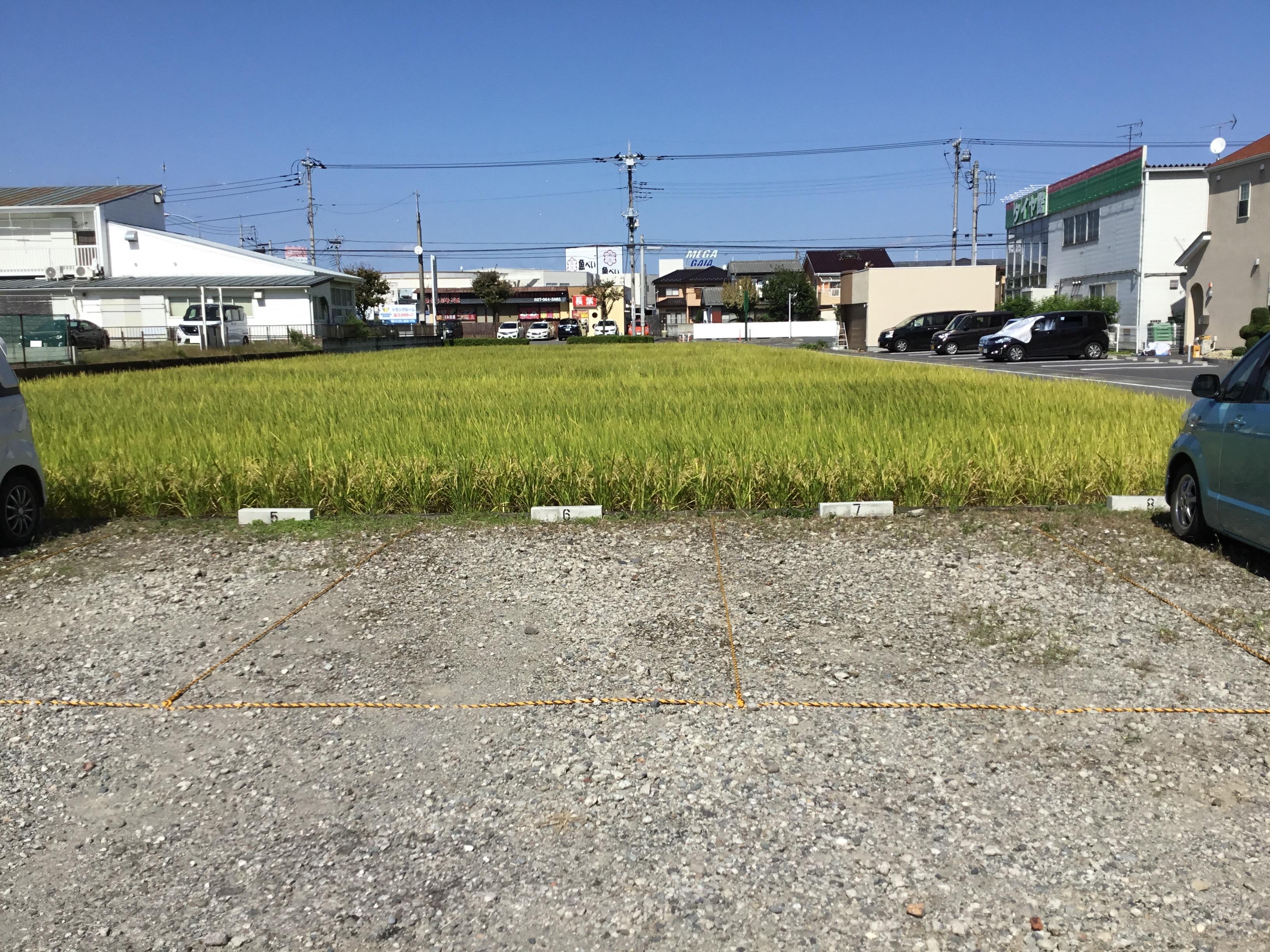 並榎町セキムカイ月極駐車場の外観・駐車場イメージ2枚目