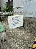 MSIパークの駐車場