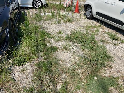 早川585-3駐車場の外観・駐車場イメージ2枚目